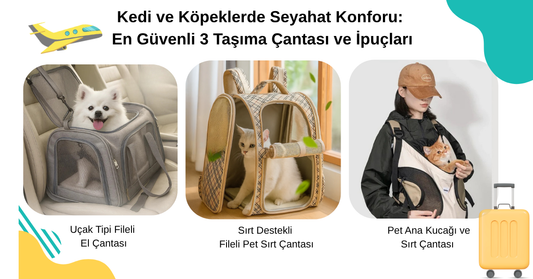🧳 Kedi ve Köpeklerde Seyahat Konforu: En Güvenli 3 Taşıma Çantası ve İpuçları