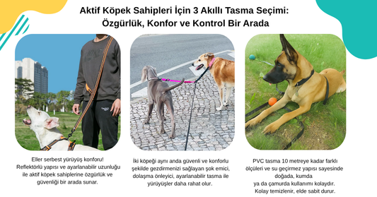 Eller serbest, çift köpek kontrolü ve doğada uzun mesafe gezdirme için özel tasarlanmış 3 farklı köpek tasması modeli: reflektörlü ayarlanabilir tasma, çift köpek tasması ve 10 metreye kadar uzayabilen su geçirmez PVC tasma.