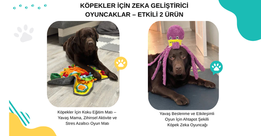 Köpek zeka gelişimi için önerilen koku matı ve ahtapot oyuncak; etkileşimli ve zihinsel egzersiz sunan oyuncak kombinasyonu