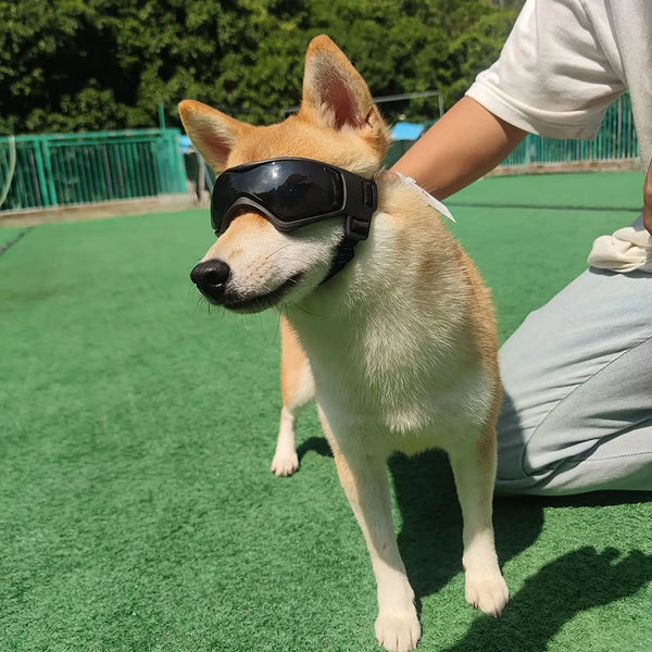 Köpek Güneş Gözlüğü Ayarlanabilir UV Koruyucu Pet Gözlüğü