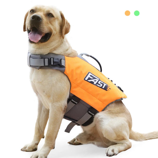 Turuncu can yeleği giymiş labrador cinsi köpek, ayakta poz verirken.