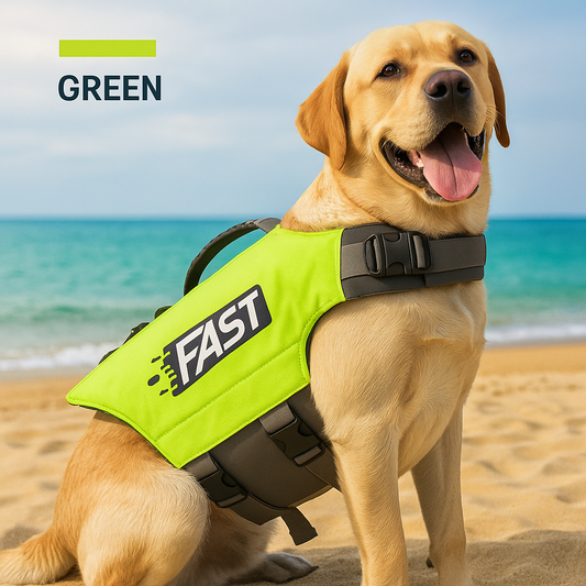 Plajda yeşil yüzme yeleği giymiş büyük boy bir köpek, rahat ve güvenli bir şekilde poz veriyor